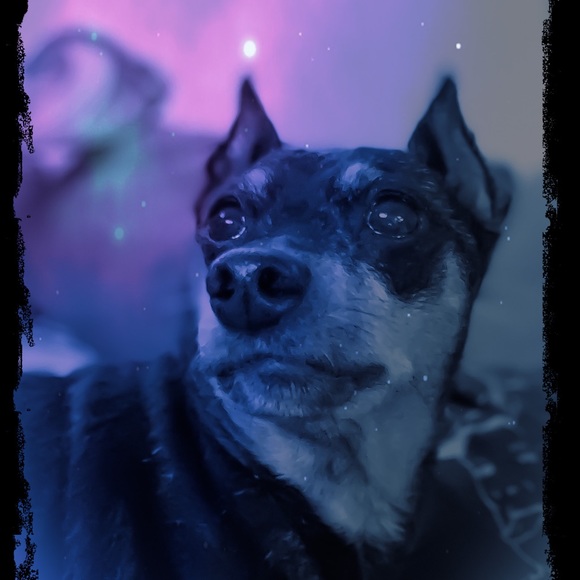 Actually.cool.stuff - Picture 9 of 16